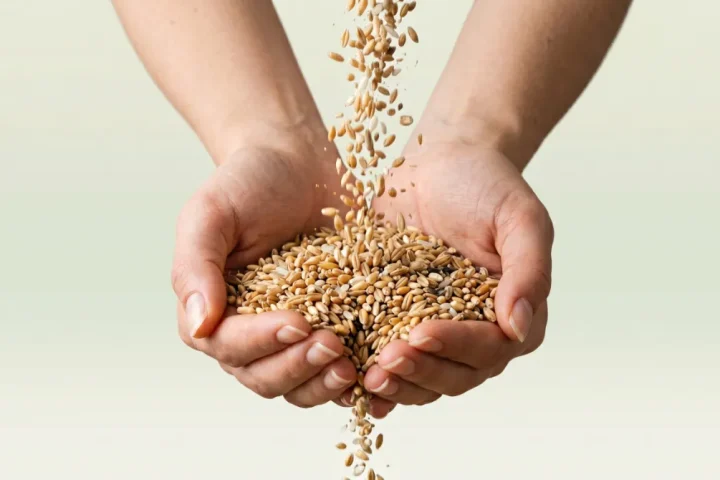 Solicitar ayuda de alimentos